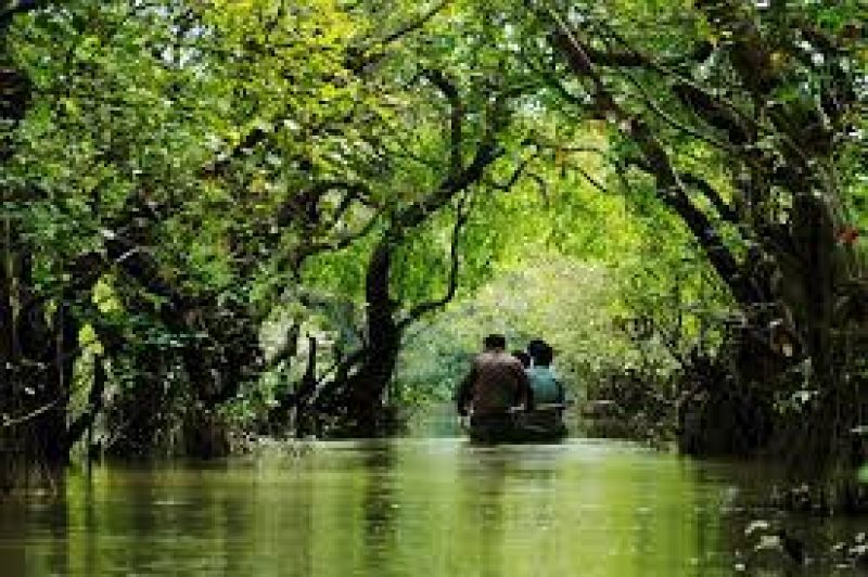 Ratargul Swamp Forest - Toursian