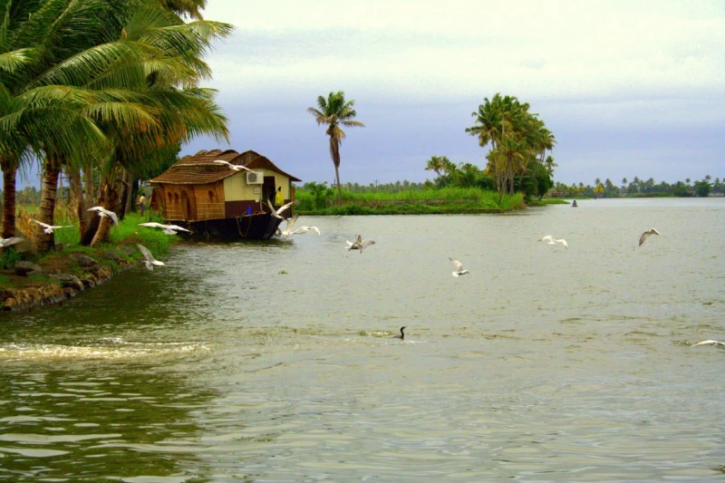 Kalathara backwater view point - Toursian