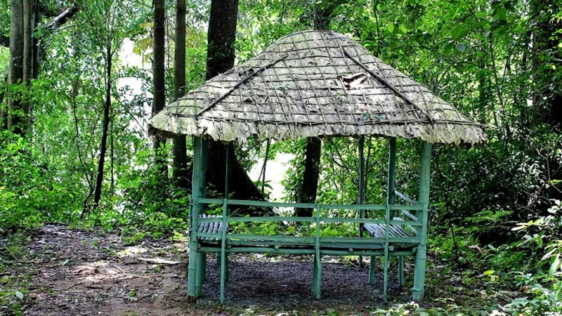 Panamkuzhy Eco Tourism Center - Toursian