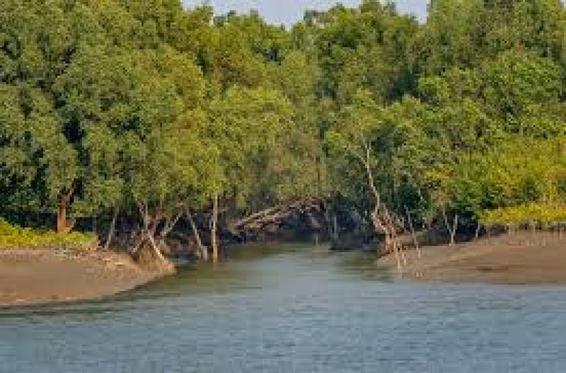 Sundarbans - Toursian