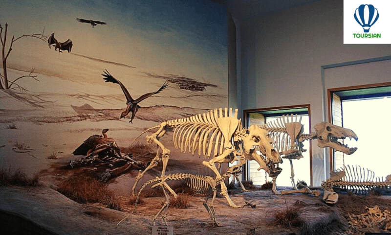 Ashfall Fossil Beds State Historical Park - Toursian
