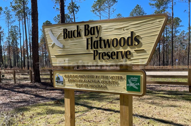 Buck Bay Flatwood Preserve - Toursian
