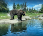 Minnesota Zoo - Toursian